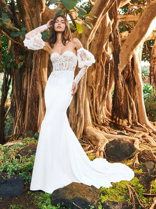 Pronovias: Masazir